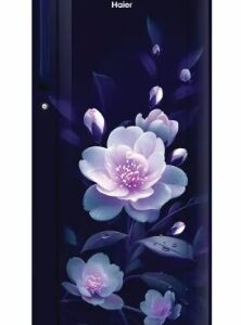 Haier 165L 1 Star Marine Elegance Floral Finish Direct Cool Single Door Refrigerator
